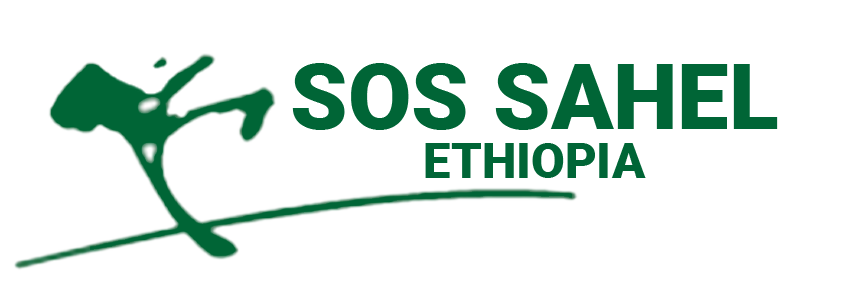 Read more about the article SOS will start implementing two new projects in 2026.